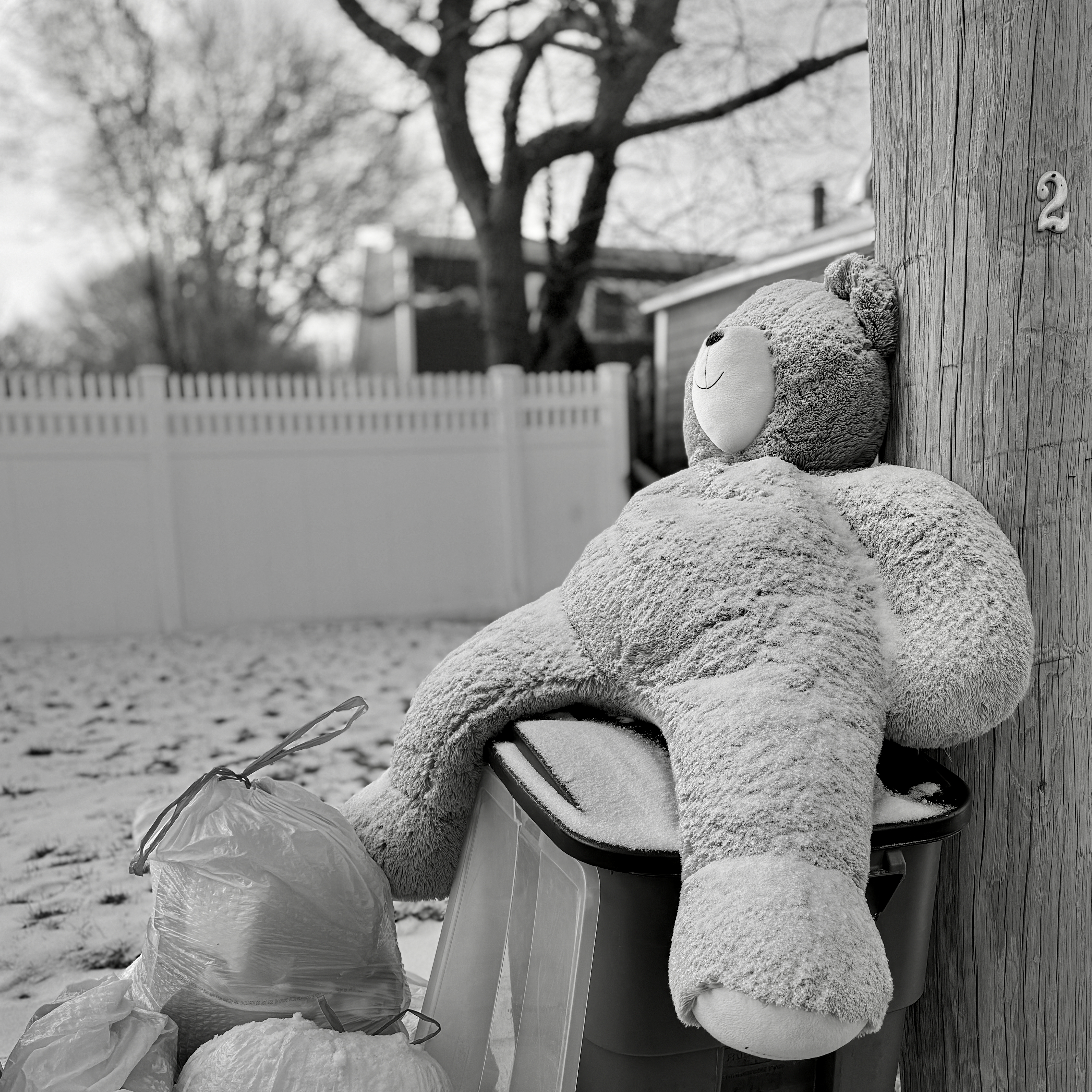 A snow-dusted teddy bear with a faint smile leans against a wooden utility pole (#2) in a desolate, black-and-white winter yard. Plastic bags are nearby. Leafless trees & a picket fence in the background add to the somber, abandoned mood.